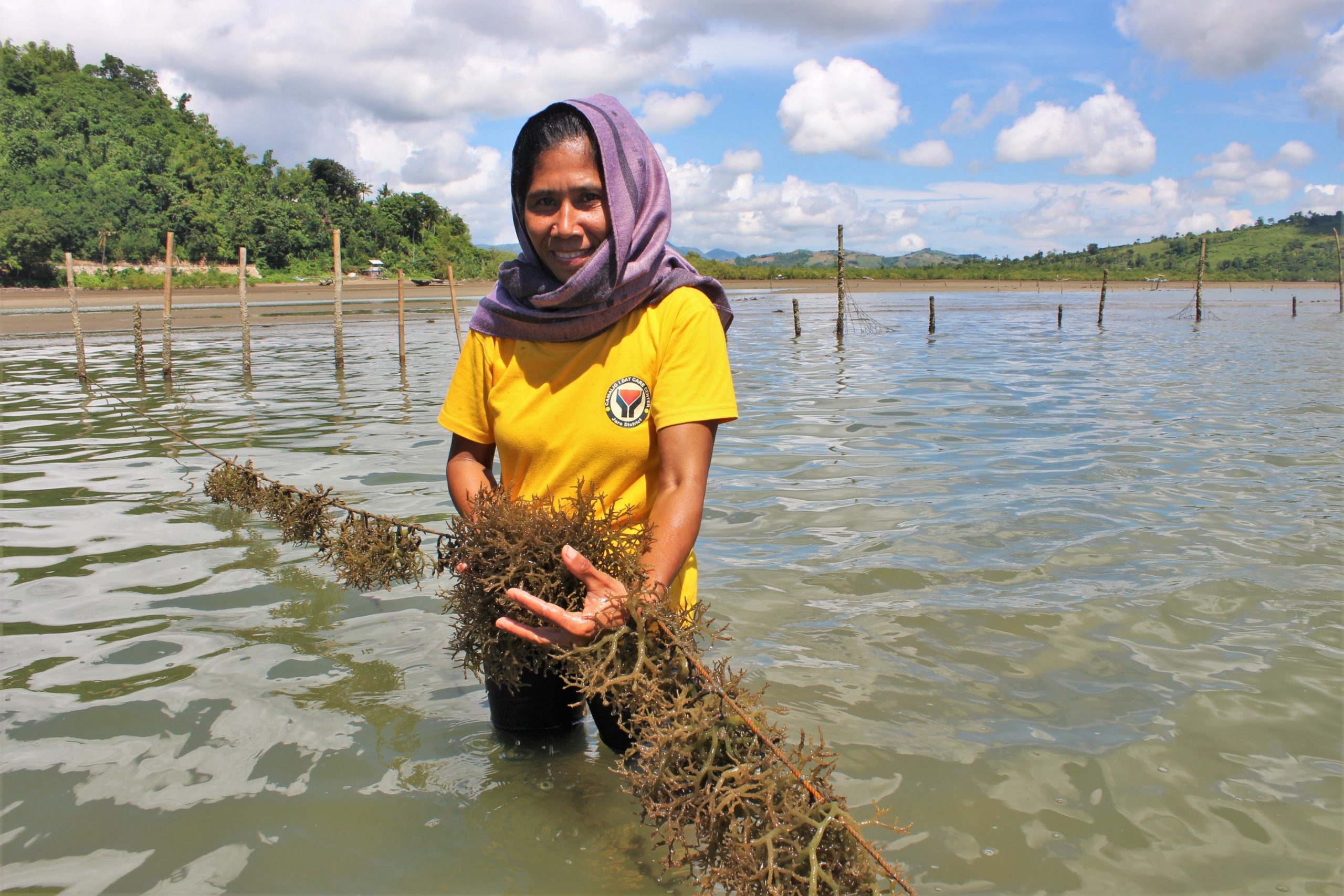 Leading Climate Change Adaptation of Seaweed Producers in Iloilo