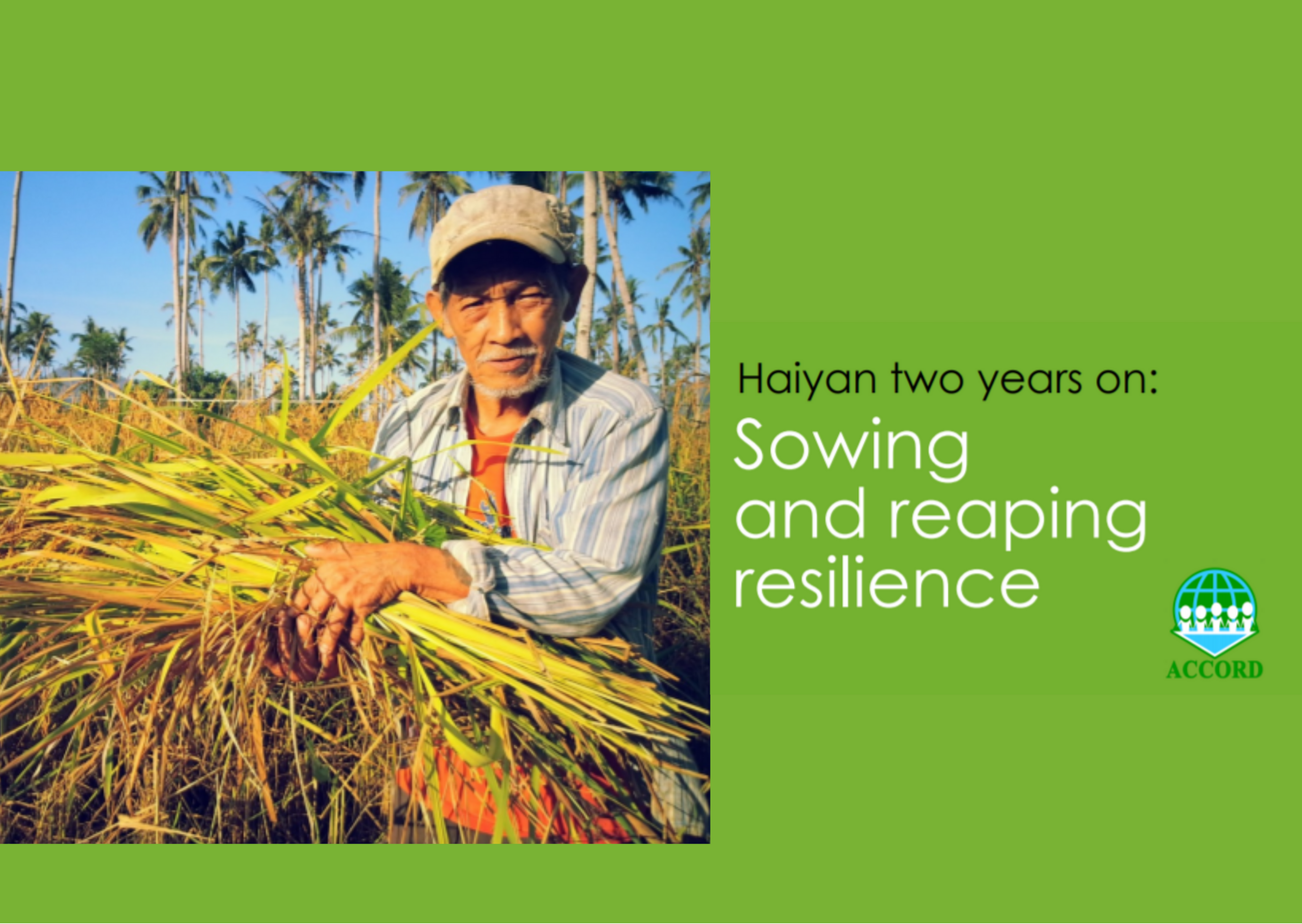 Haiyan Two Years On: Sowing and Reaping Resilience